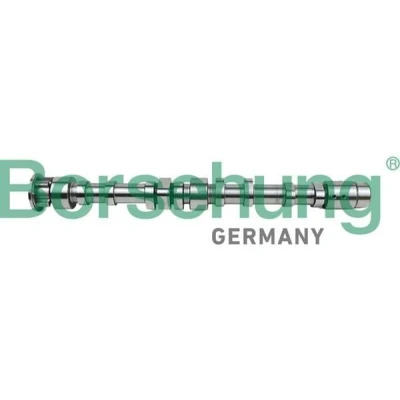 Imagen de Borsehung B12297 Árbol de Levas Lado admisión VOLKSWAGEN: Tiguan I, Jetta 3, Golf 5