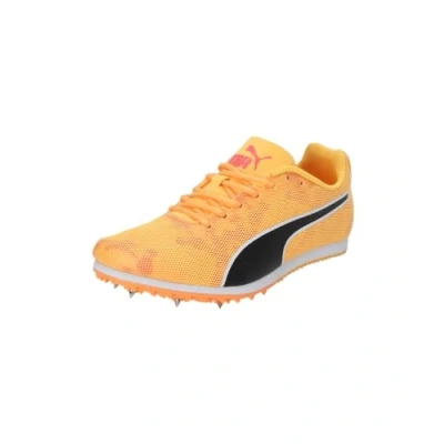 Imagen de PUMA Evospeed Star 8 Junior, Zapatos atléticos, Sun Stream Sunset Glow Black, 38.5 EU