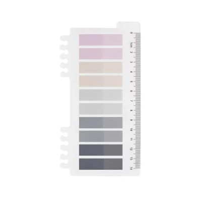 Imagen de 200 pestañas adhesivas para notas adhesivas, estilo gris, autoadhesivas, pastel, escribir, con regla marcar páginas, marcapáginas (A pieza de Winter&#039;s Frost)