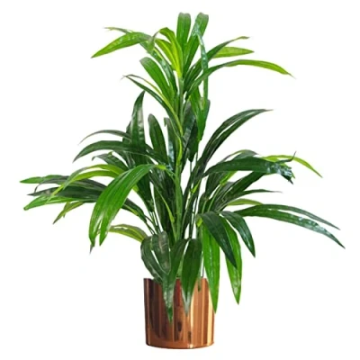 Imagen de Leaf Design UK Planta de follaje Artificial Realista con Maceta, Maceta Cobre bambú, 65 cm