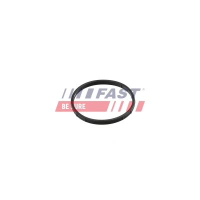 Imagen de FAST FT50602 Juntas