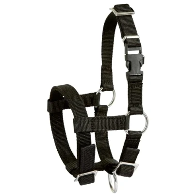 Imagen de ALPACA HALTER
