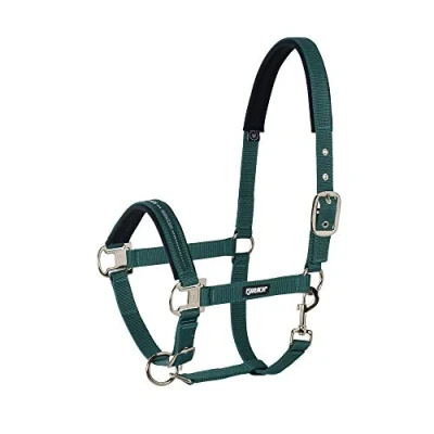 Imagen de Eskadron Halter pin buckle