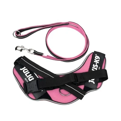 Imagen de IDC Powair Bundle Arnés Powair, Tamaño: L/1, Rosado + Correa 1,2 m con asa y mosquetón Grande,