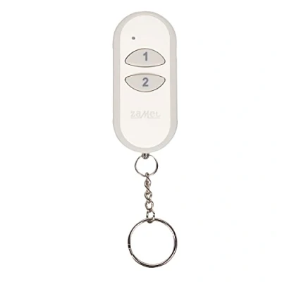 Imagen de exta Free de 2 Canales Control Remoto, 1 Pieza, P 257/2