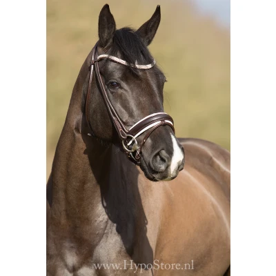 Imagen de Premiera &#039;&#039;Imperia&#039;&#039; brown rolled bridle with white padding and crystal browband, silver buckles