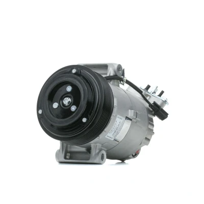 Imagen de DELPHI TSP0155928 compresor de Aire Acondicionado 6CVC13 PAG 46 con aceite NISSAN: Qashqai / Qashqai+2 I norauto, oscaro, mister auto