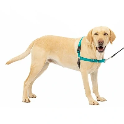 Imagen de PetSafe Easy Walk arnés para Perro sin tirones, el Mejor Ayudar a Dejar de Tirar, Toma Control y enseña Mejores Modales con la Correa, Ayuda Evitar Que Las Mascotas tiren en los