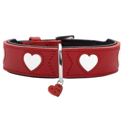 Imagen de Collar para Perro Hunter Love M 41 49 cm Rojo