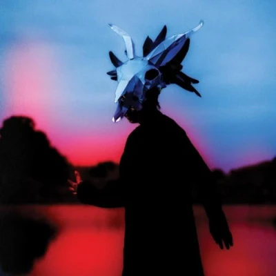 Imagen de Skyllumina Vinilo Ruth Goller