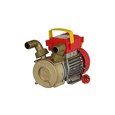 Imagen de Electrobomba líquidos Rover Pompe 30 CE 750 W 4500 L/h