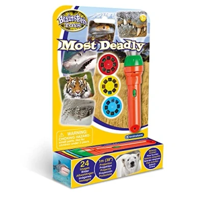 Imagen de Brainstorm TOYS Most Deadly Torch and Projector