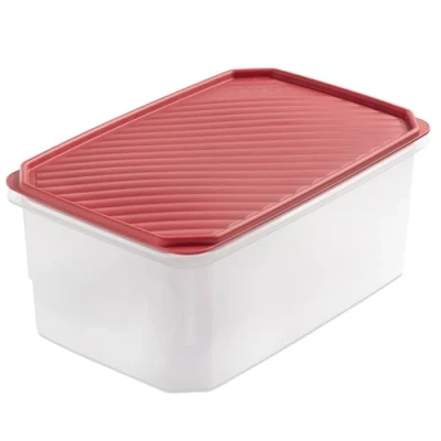 Imagen de TATAY Fiambrera de Alimentos, Hermética, 4.7 L Capacidad, Tapa Flexible a Presión, Libre BPA, Apto Microondas y Lavavajillas, Color Arandano, Medidas: 28.5 x 18.5 12.2 cm