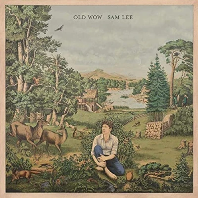 Imagen de Old Wow [Vinilo]