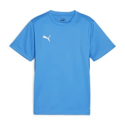 Imagen de PUMA Team Goal Jr Camiseta
