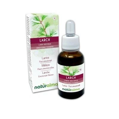 Imagen de Larch o Alerce (Larix decidua) Flores de Bach Naturalma Gotas 30 ml Extracto líquido sin alcohol Esencias florales Vegano y libre
