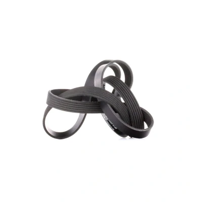 Imagen de INA FB 6PK1718 Correa trapecial poli V 1718 6 FORD: Transit Connect Mk1 Furgón, Focus Hatchback, Tourneo Connect, VOLKSWAGEN: Transporter 4