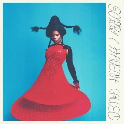 Imagen de Sorry I Haven&#039;T Called (LP) [Vinilo]