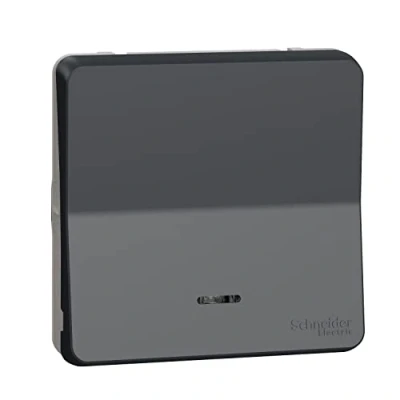 Imagen de Schneider Electric MUR35024 Conmutador Superficie con LED, IP55, Gris