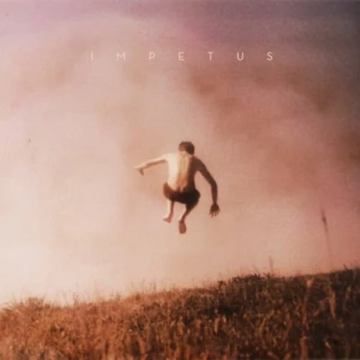 Imagen de Impetus Vinilo