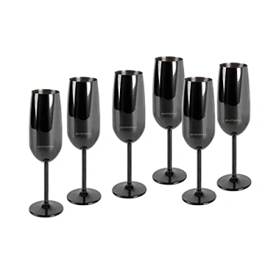 Imagen de Echtwerk Juego de copas vino espumoso y champán 6 piezas acero inoxidable, edición negra, 250 ml, 22,5 x 6,3 cm