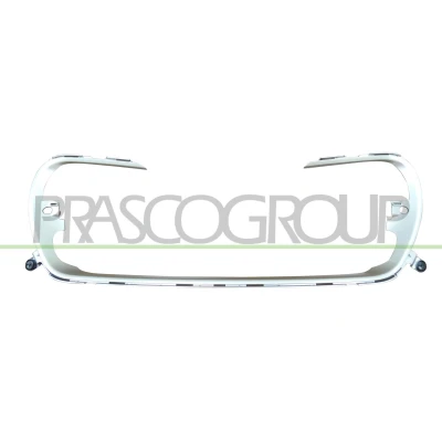 Imagen de PRASCO PG4262206 Listón embellecedor/protector, panal de radiador