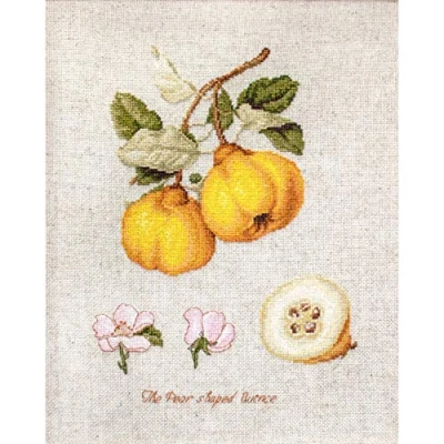 Imagen de Luca S Kit de Punto Cruz, Multicolor, 18,5x25cm