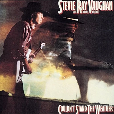 Imagen de Couldn T Stand the Weather [Vinilo]