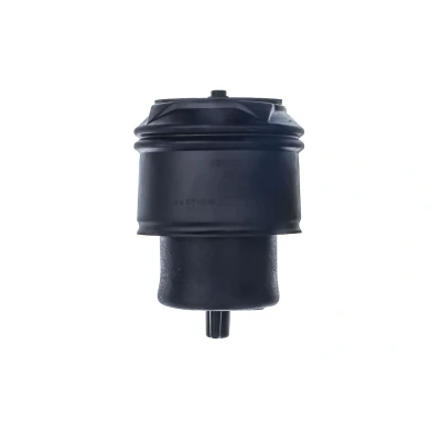 Imagen de DENCKERMANN DSA129G Muelle neumático, suspensión Eje trasero CITROËN: Jumpy II MPV, FIAT: Scudo Furgón