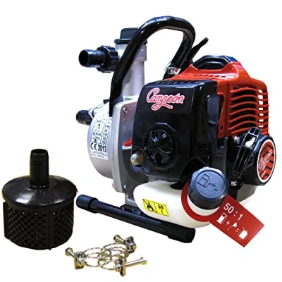 Imagen de CAMPEON 1247X25 Motobomba Gasolina 2T 26 C