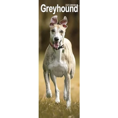 Imagen de Greyhound Slim Calendar 2025 Dog Breed Slimline 12 Month