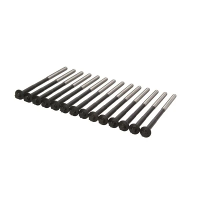 Imagen de REINZ 14 32365 01 Juego de Tornillos Culata Torx exterior CHEVROLET: Epica Berlina