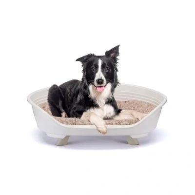 Imagen de Ferplast Cama Perro y Gato con Cojin de Algodon, Elevada Perro, para Perros Medianos, Cesta Transpirable Antideslizante, Throne 82 x 59,5 h 29,5 cm, Blanco