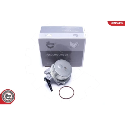 Imagen de ESEN SKV 18SKV051 Bomba de Vacío Sistema Frenado MINI: Hatchback, Clubman, PEUGEOT: 207 CC, CITROËN: C3 II