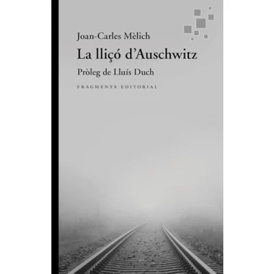 Imagen de La lliçó d’Auschwitz: 98 (Assaig)