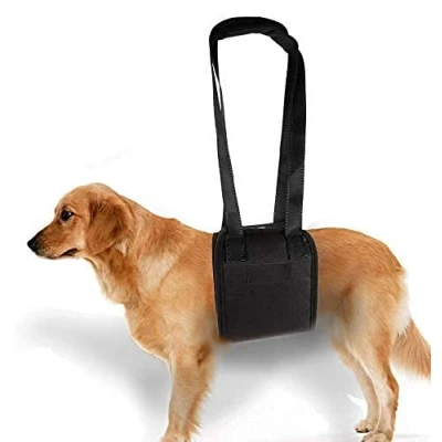 Imagen de Ayuda A Perro con Debilidad En Las Patas Frontales O Traseras para Ayudarlos Pararse Paseo Entrar Coches Subir Escaleras Mascotas Heridas Ancianas