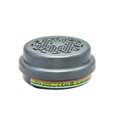 Imagen de FILTRO A2P3 R BLS 221 8011112 (PAQUETE 8 FILTROS)