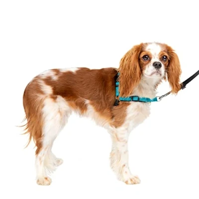 Imagen de PetSafe Easy Walk Deluxe Arnés Antitirones para Perros, Adiestramiento de Evita Asfixia, Azul, Pequeño, S