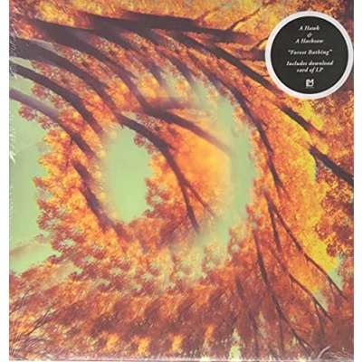 Imagen de Forest Bathing Vinilo
