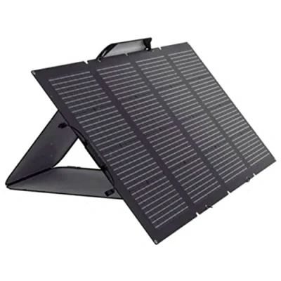 Imagen de Panneau solaire 220W