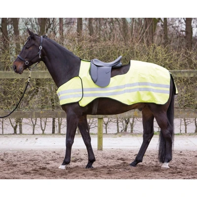 Imagen de Harry&#039;s Horse exercise sheet reflective