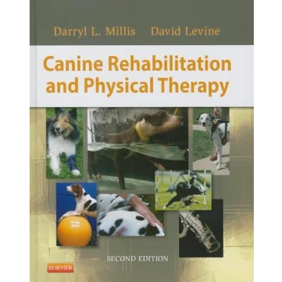 Imagen de Canine Rehabilitation And Physical Therapy (ebook)