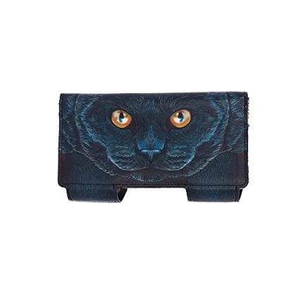 Imagen de Nemesis Now Monedero con diseño de Gato guardián en Relieve, 18,5 cm