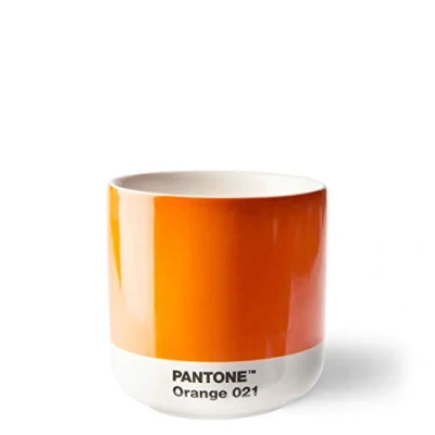 Imagen de Cortado Thermo Cup, Orange