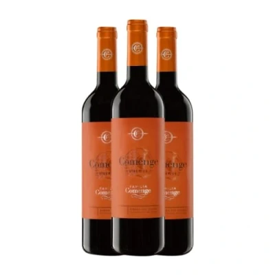 Imagen de Comenge Biberius Tempranillo Ribera del Duero Botella Magnum 1,5 L Vino tinto (Caja de 3 L)