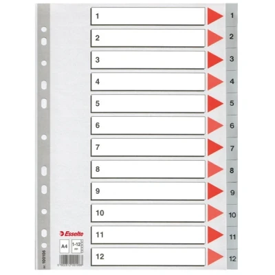 Imagen de ESSELTE 100106 Indice para carpetas multitaladro PP DIN A4 con cartulina índice color 1 12 gris