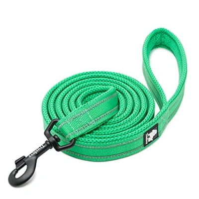 Imagen de WINHYEPET True Love Correa para Perro Nylon Reflectante Mango cómodo Plomo Entrenamiento Cachorros Cuerda Caminar Control fácil, 110 cm de Longitud TLL2111