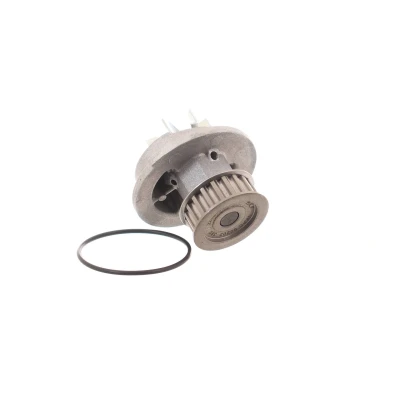 Imagen de SKF VKPC 90202 Bomba de agua 19 con juntas Metal para accionamiento correa trapecial DAEWOO: Kalos Hatchback, Lanos Berlina