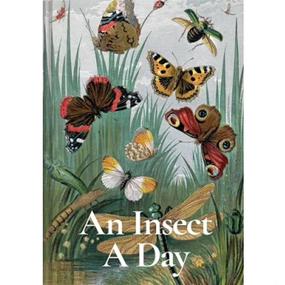 Imagen de An Insect A Day