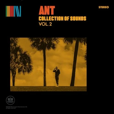 Imagen de Collection Of Sounds 2 Vinilo Amarillo Ant